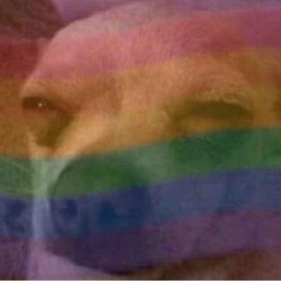 Meet your Posher, Sophie alicia - Picture 1 of 1